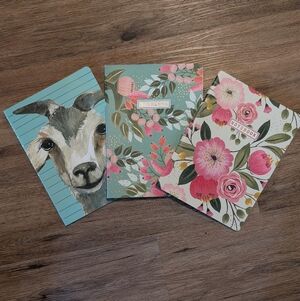 Set Of 3 Lined Notebooks